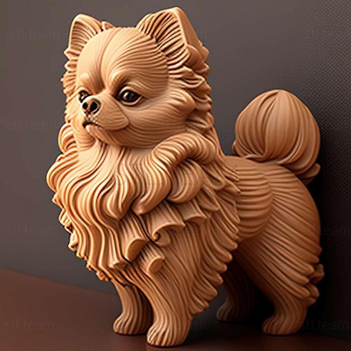 3D model Pomeranian dog (STL)